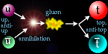 quarks en gluon