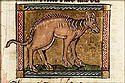 equus fluvius