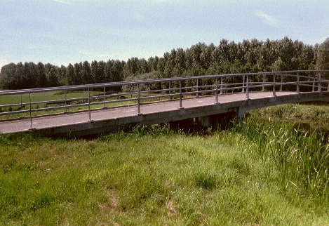 bridge-corner NE