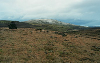 Typical Icelandic landscape  A. van Roekel