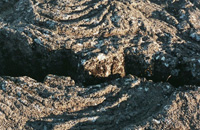 Pahoehoe-lava  A. van Roekel