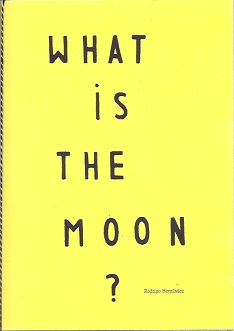 Hernandez What Is The Moon.jpg