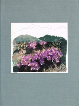 Hutchinson An Art And Gardening Journal.jpg