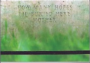 PR Bakker How Many Hopes Lie Buried Here Mother.jpg