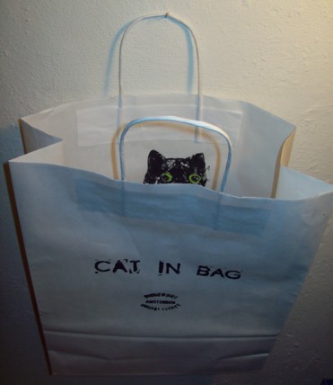 PR Egten Cat In Bag.jpg