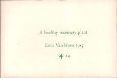 PR Van Horn A Healthy Rosemary Plant.jpg