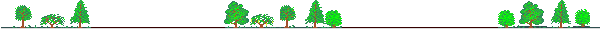 some trees