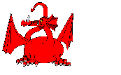 Red Dragon Design