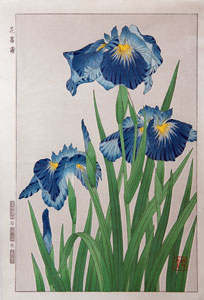 Kawarazaki Shodo Irises