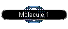 Molecule 1