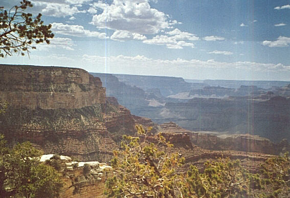 Yep, that's it: the Grand Canyon