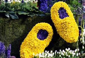wooden shoes in flowerbulbs