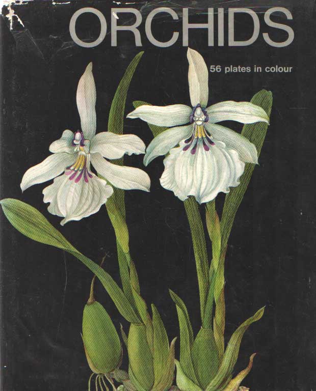 Oplt, J. - Orchids.