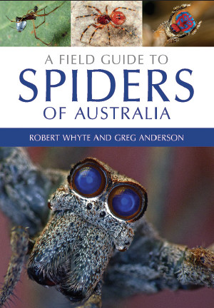 A Field Guide to Spiders of Australia