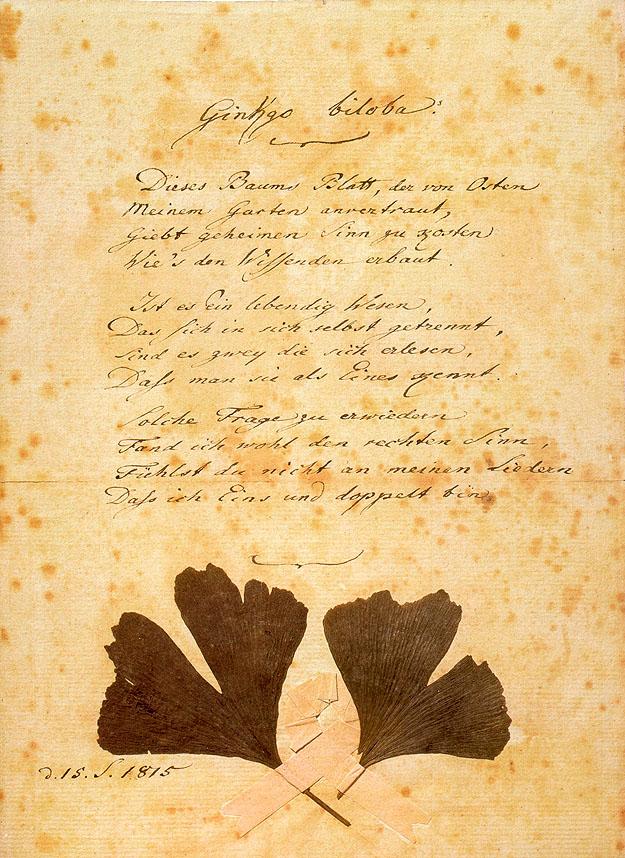 Goethe poema